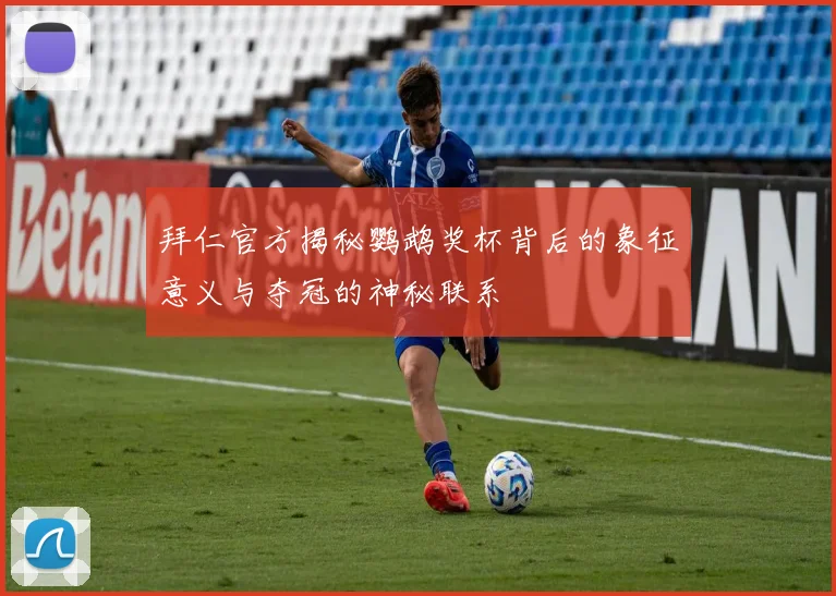 拜仁官方揭秘鹦鹉奖杯背后的象征意义与夺冠的神秘联系