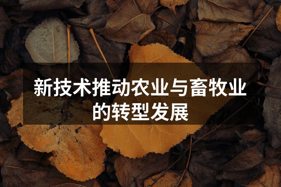 新技术推动农业与畜牧业的转型发展